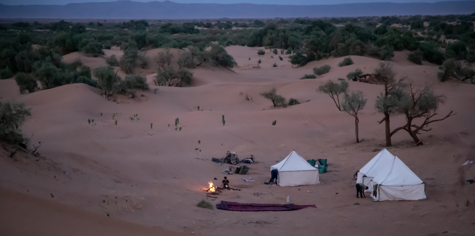 Guests enjoying a desert safari camp experience