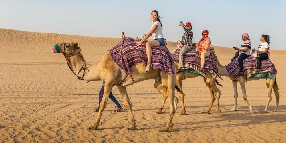 Real Safari Moment 70