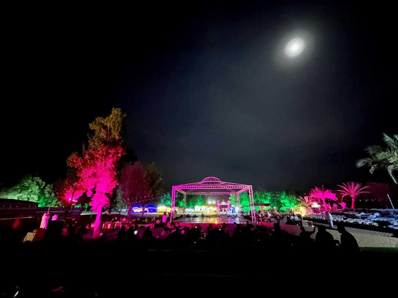 Real Safari Moment 1