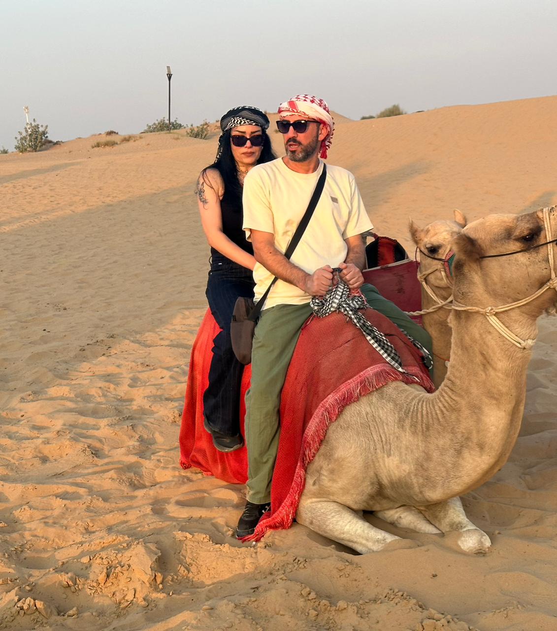 Real Safari Moment 3